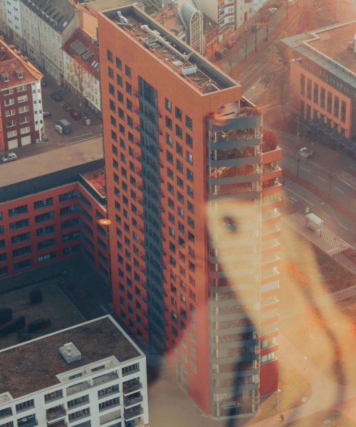 pexels-anchukk-19472523